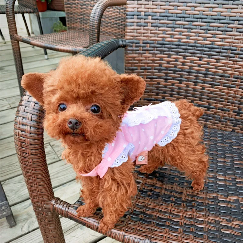 Pet Cat XXS XXXS T Shirt Dog Dress Cotton Skirt Soft Dress Yorkie Clothes for Micro Puppy Teacup Chihuahua Extra Small