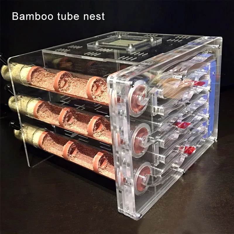 Bamboo tube