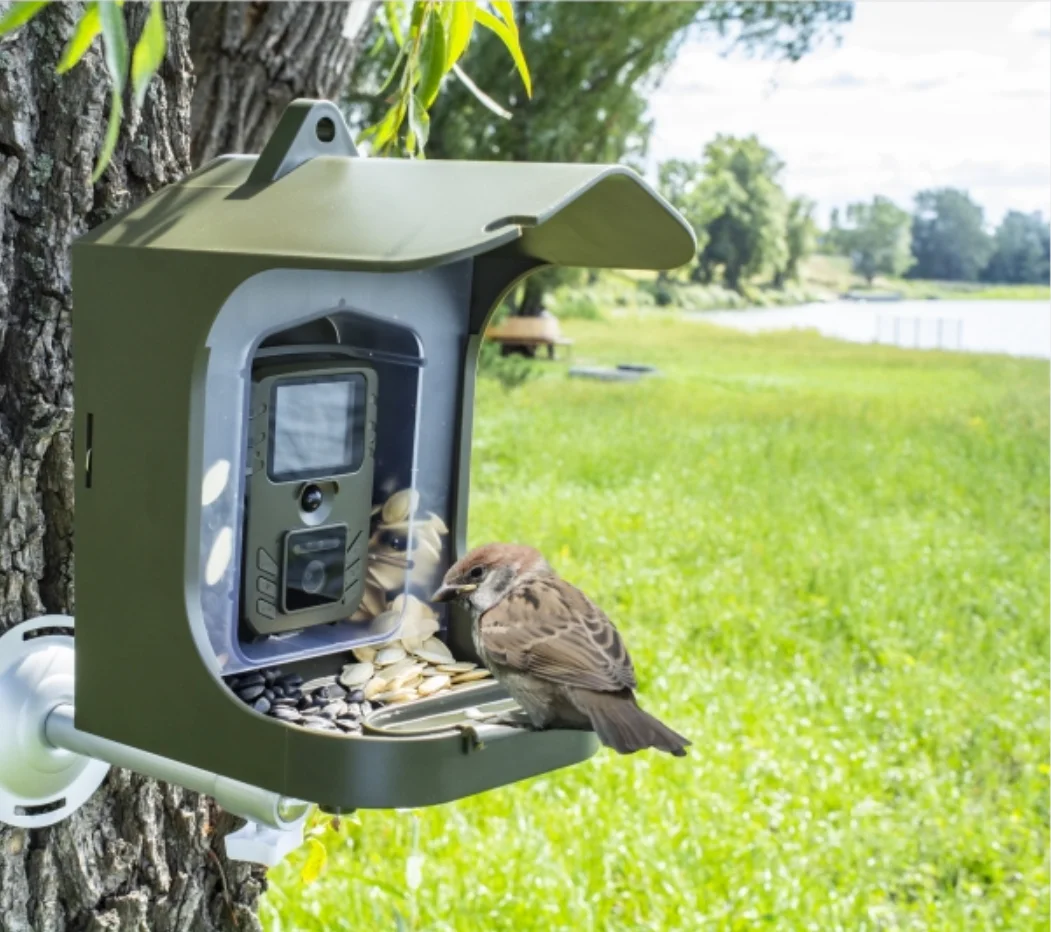 Infrared Night Vision Bird Small Animal Watching Camera Trail Camera BC-303 Birds Feeding 24MP 1080P 30 hunting trail camera trail camera
