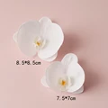 2PC orchid1