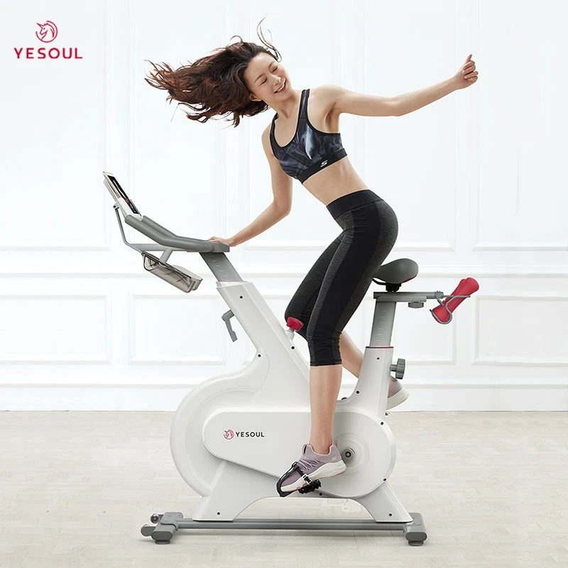 Yesoul M1 China Factory White Indoor Home Exercise Bike Smart Spinning Bike Gym