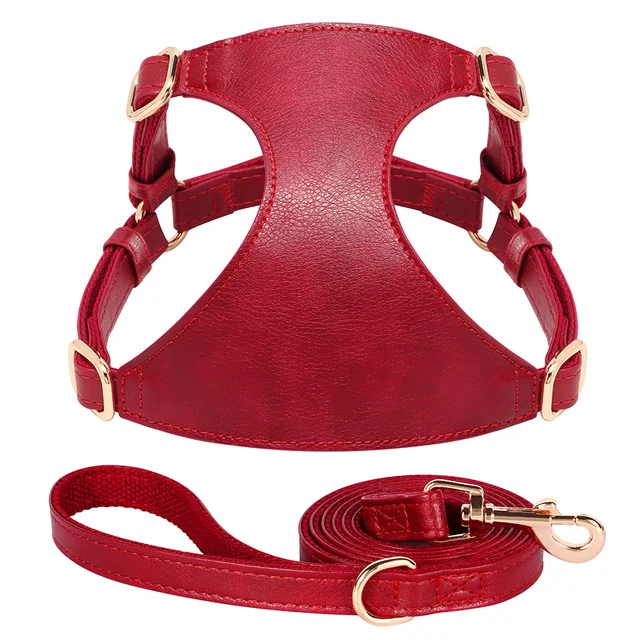PU Leather Dog Harness Leash Set Dog Cat Chest Strap Traction 5ft Rope Walking Vest Harness for Small Medium Dogs Pet Supplies 5