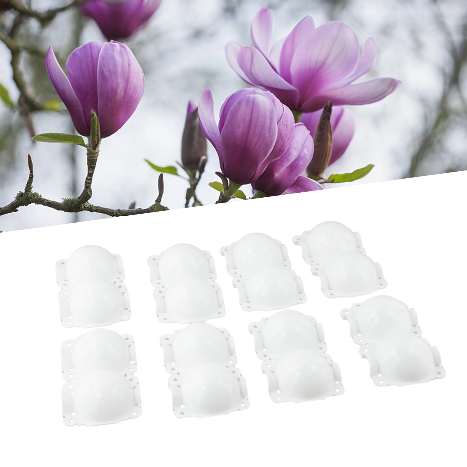 10Pcs Plant Rooting Ball Garden Innesto Box Propagazione Dell'Alberello Allevamento Rooting Case Pianta Trapianto Nursery Ball Riutilizzabile