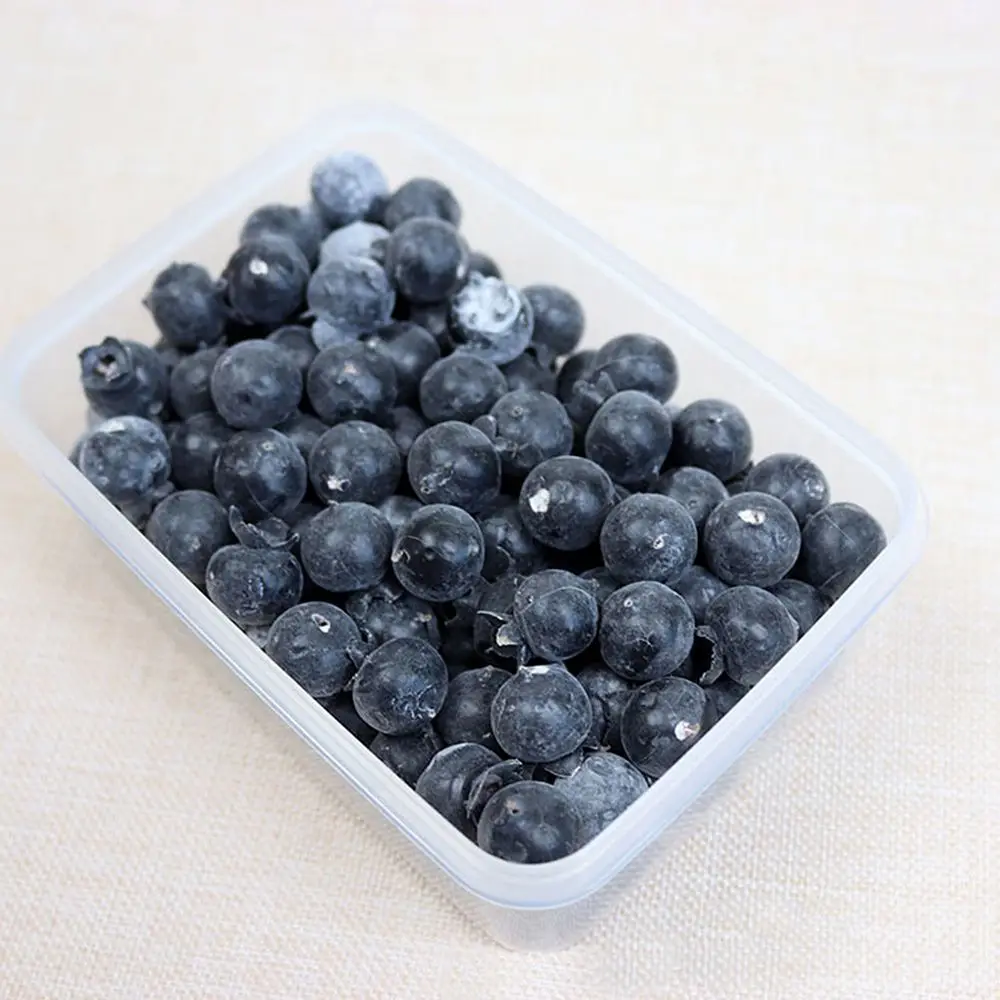 20PCS High Simulation Fruit Plastic Fake Blueberry Photo Props Home Artificial Food Shop Model Decor