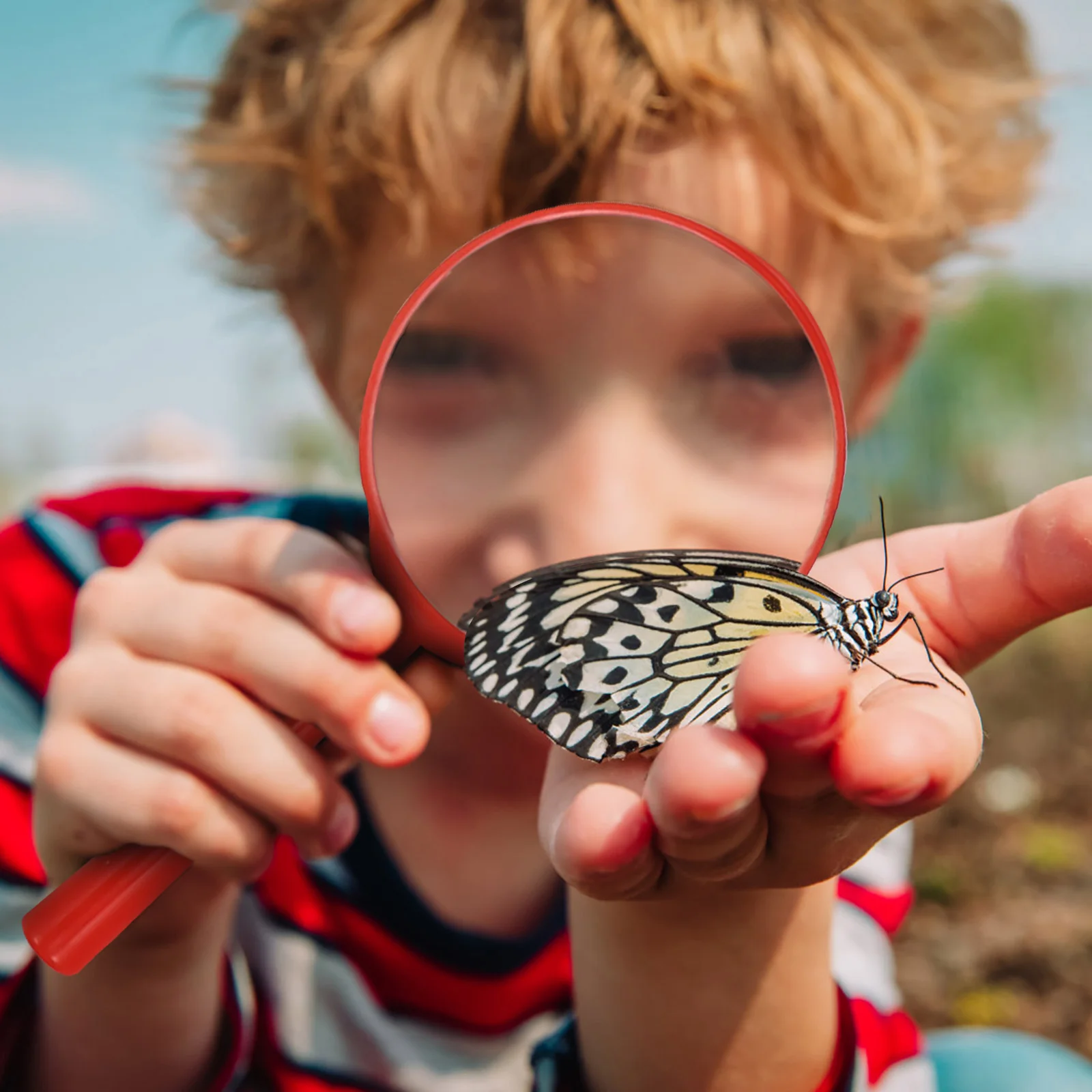 Set Insect Observation Box Child Toddler Bug Catcher Kit For Kids for Little Critters Butterfly Bucket Kids Abs Acrylic 4