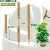 Cross-border Gardening Cocoanut Stick Green Pot Fixed Plant Climbing Cane Flower Support Cocoanut Climbing Cane Moss Rod 1pc 3