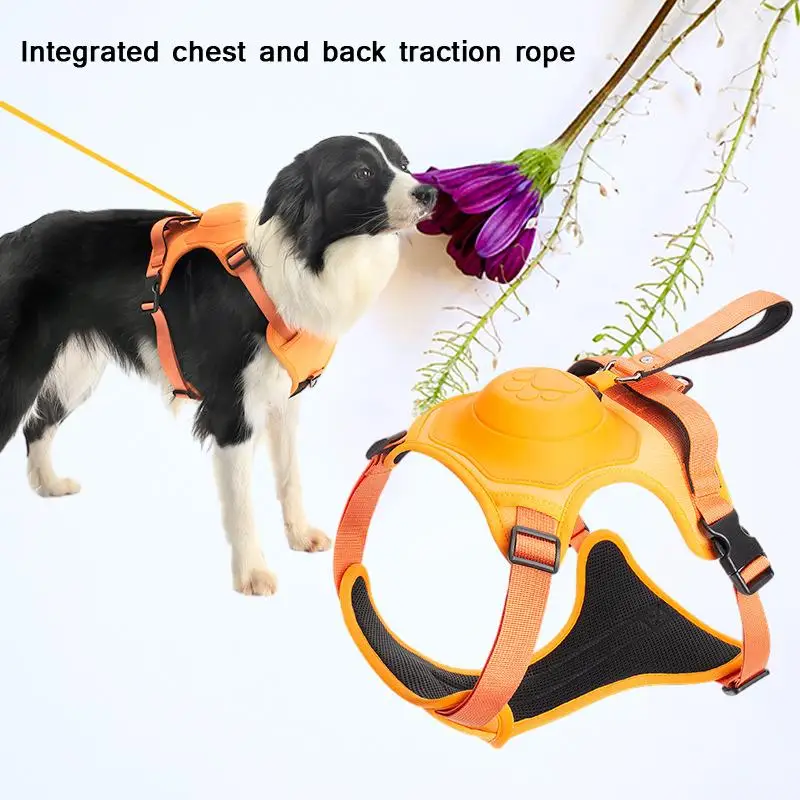 

New Pet Supplies Automatic Retractable Explosion Proof Chest Back Integrated Leash For Large Medium And Small Dogs With Harness