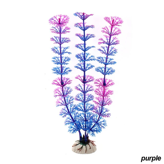 Image 16