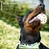 Bite Resistant Solid Dog Ball Toys for Small Large Dogs High Elasticity E-TPU Pet Chew Ball Toy Non Squeak Interactive Puppy Toy 3