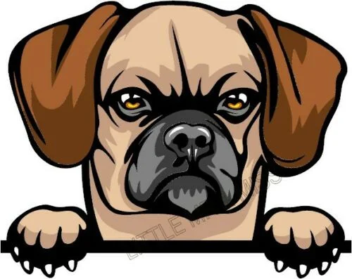 For Puggle Peeking Dog Beagle Pug Colour Window Wall Laptop Sticker W/Proof