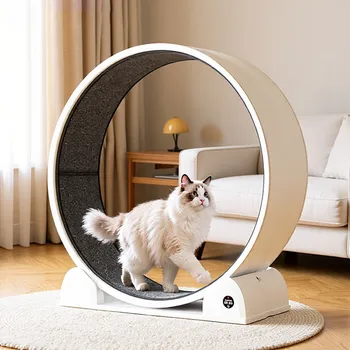 Ruota per esercizi per gatti 110 cm Una ruota veloce per gatti Tapis roulant silenzioso per gatti con contapassi Ruote da corsa per animali domestici per dimagrire e salute