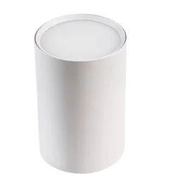Sleek Surface Mounted Dimmable LED Ceiling Lamp (Cold White)