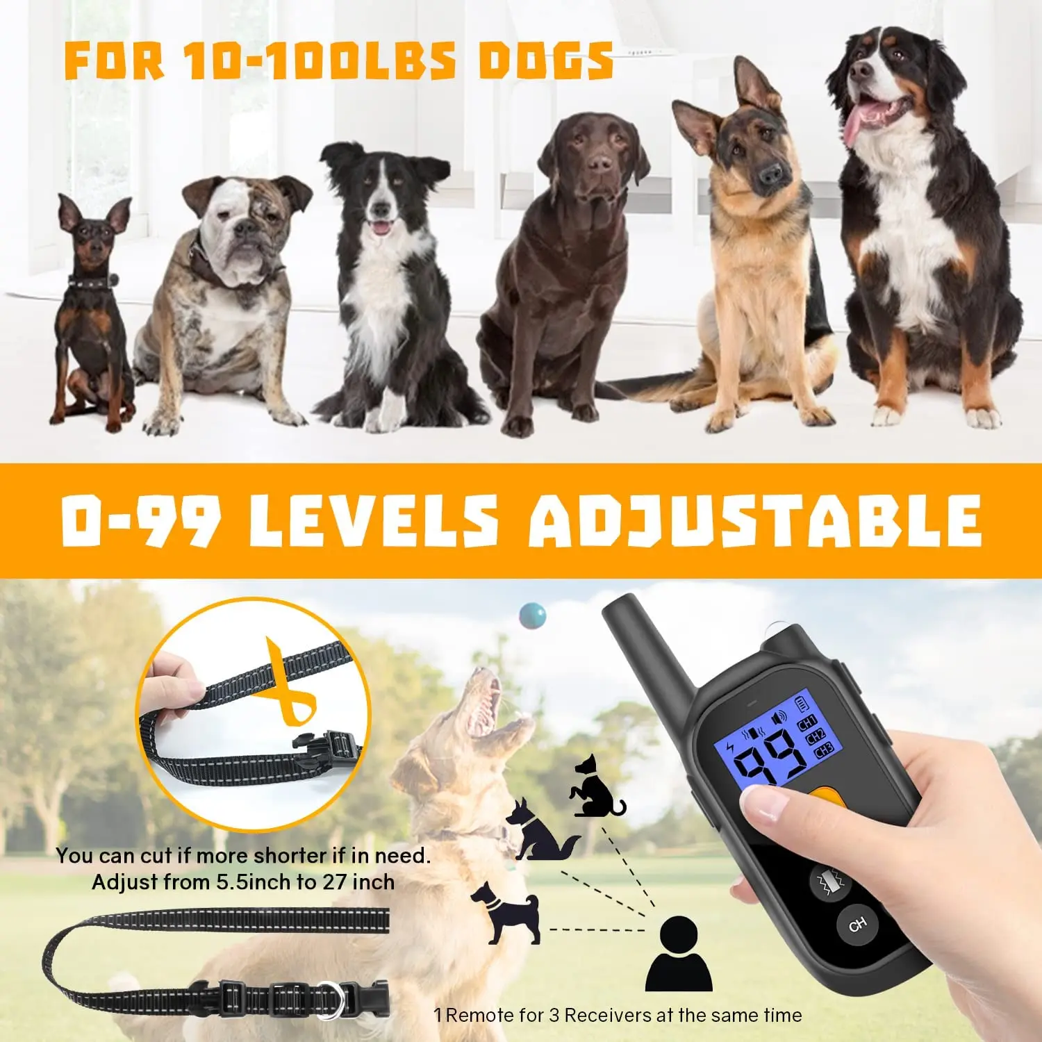 When Will Electric Dog For Large Dogs IMounTEK Dog Training E