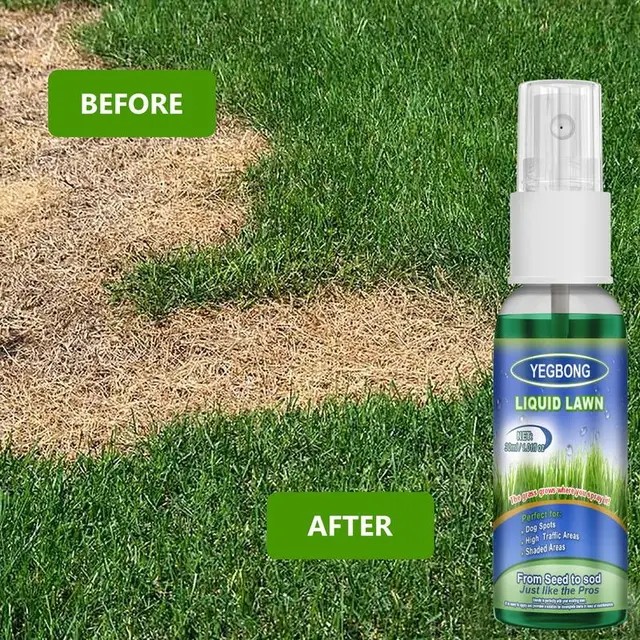 Gyep Zöldítő Ügynök Természetes Zöld Füves Gyeppermet Azonnali Pázsit Koncentrált Tápanyag Folyékony Spray 30 Ml - Image 2