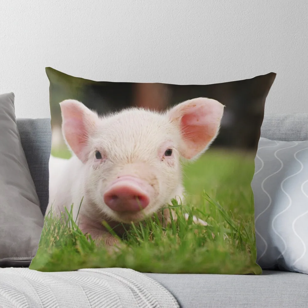 

Little Baby Piglet Pig Throw Pillow Pillow Case Christmas Pillow Case