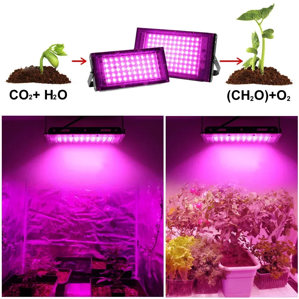 Description Picture 4 of itemLED Grow Light Full Spectrum Phyto Lamp AC 220V 50W 100W 200W 300W For Greenhouse Hydroponic Plant Growth Lighting With EU Plug