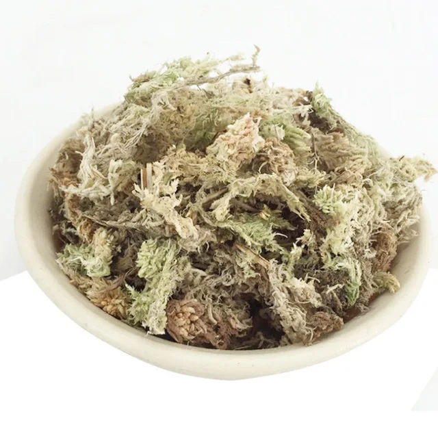 12 L Sphagnum Moha Mohát Hidratáló Táplálkozás Bio Műtrágya Védelme Orchidea Zamatos Növényi Gyökerek Diy Virág Edény Otthoni Kert - Image 6