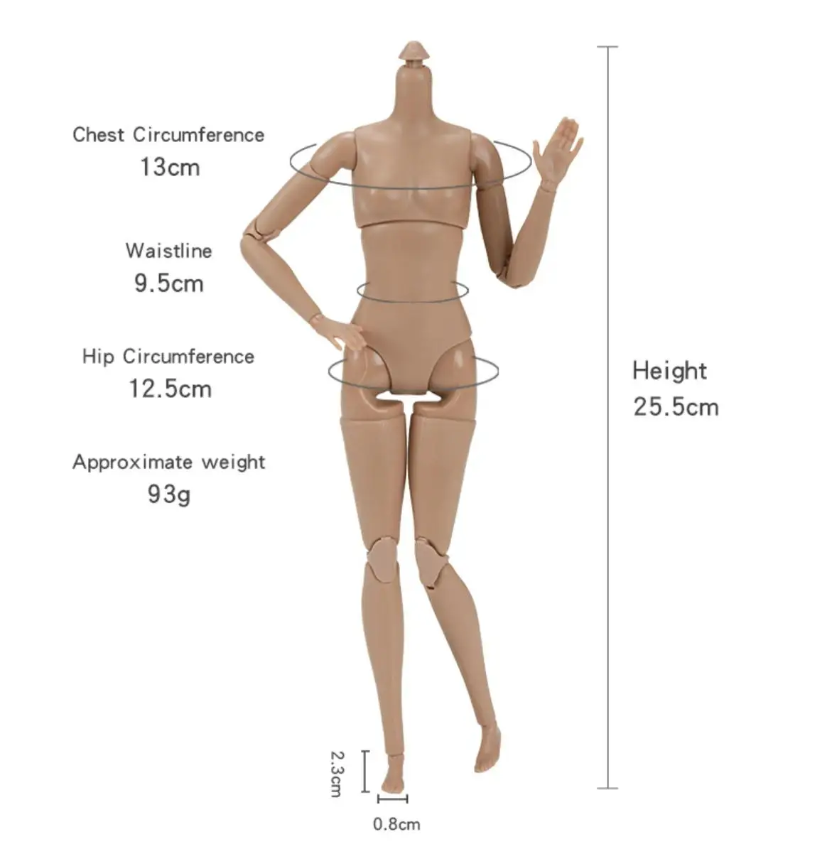 1/6 인형 바디 26CM 고품질 다관절 가동식 여성 바디 화이트 스킨/노멀 스킨 바디 패션 슈퍼모델 헤드 DIY 부품