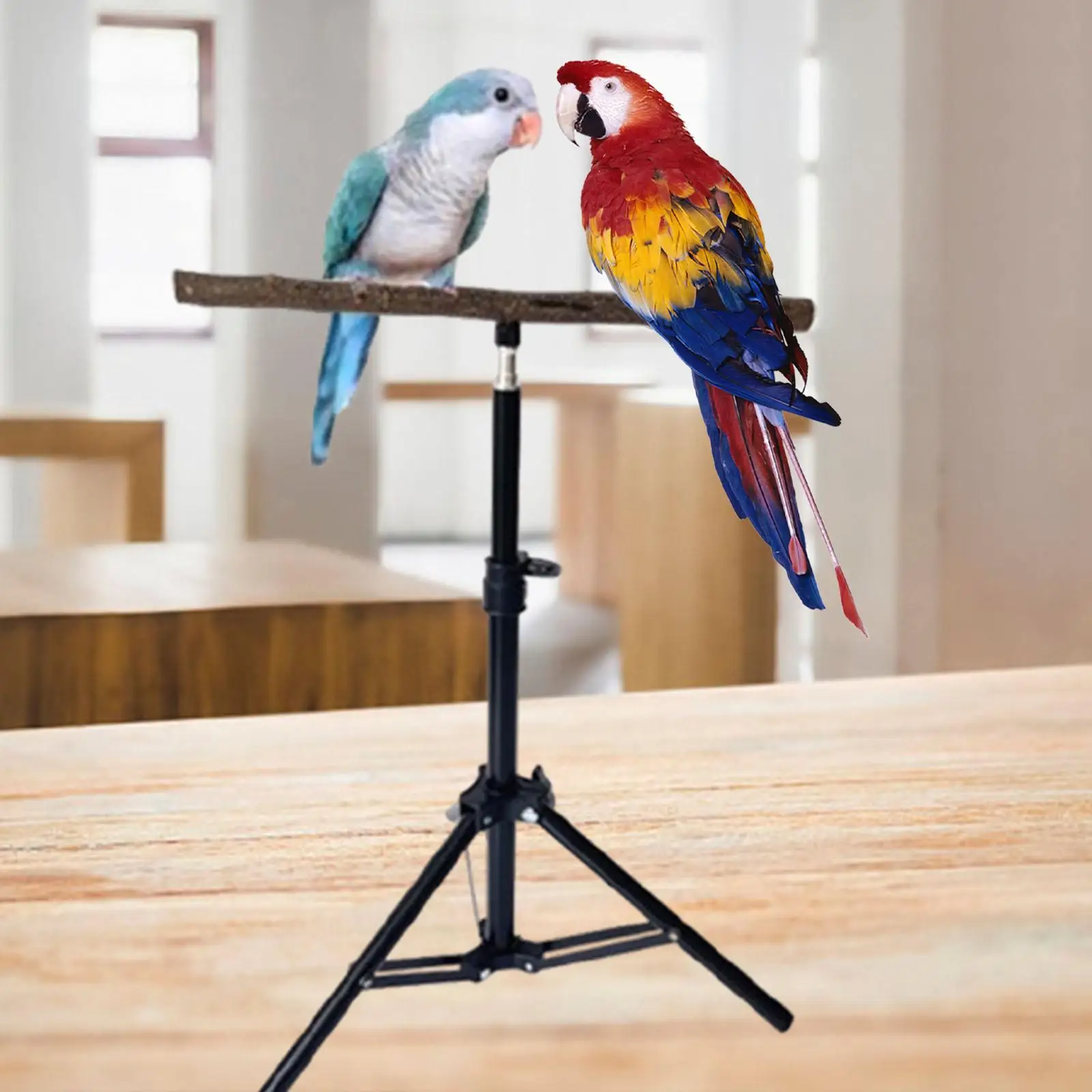 Wooden Parrot Perch Height Adjustable Tripod Stable Exercise Toy Parrot Floor Stand Pet Supplies for Finches
