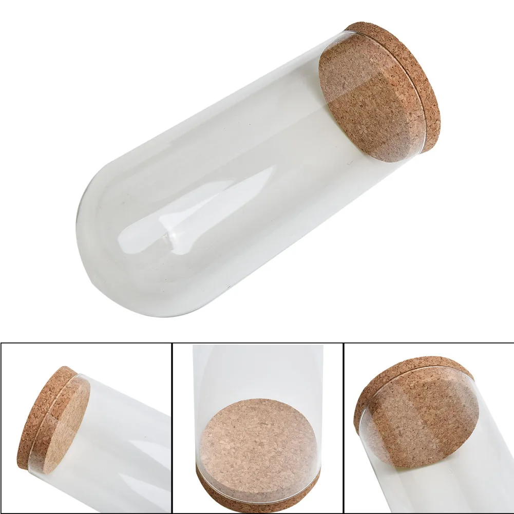 Cúpula De Cristal Transparente Con Base De Corcho, Para Plantas Suculentas O Flores, Decoración De Mesa, Diámetro 8 Cm, Alturas 10, 12 O 18 Cm