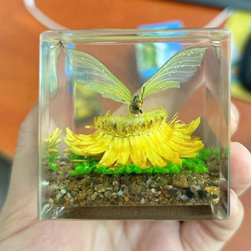 樹脂本物のフンカブトムシ標本剥製動物の頭蓋骨クリア樹脂