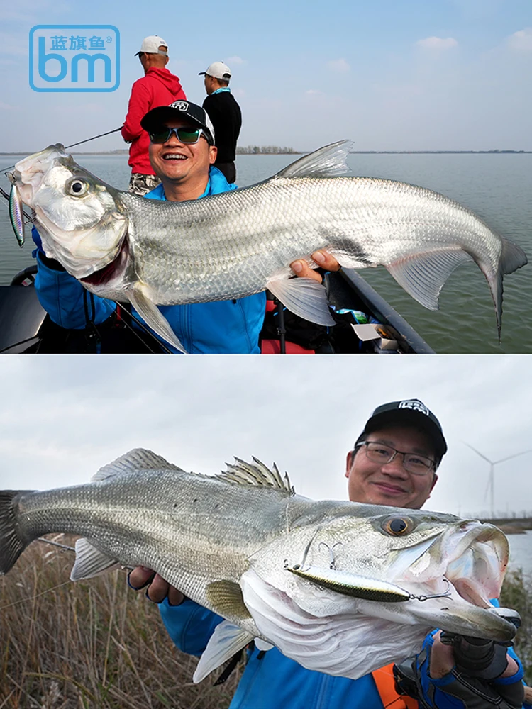BM 13g 15g 18g Submerged Pencil Ultra-long-distance Throwing All-water Leaning Bass Mandarin Fish Bait Luya
