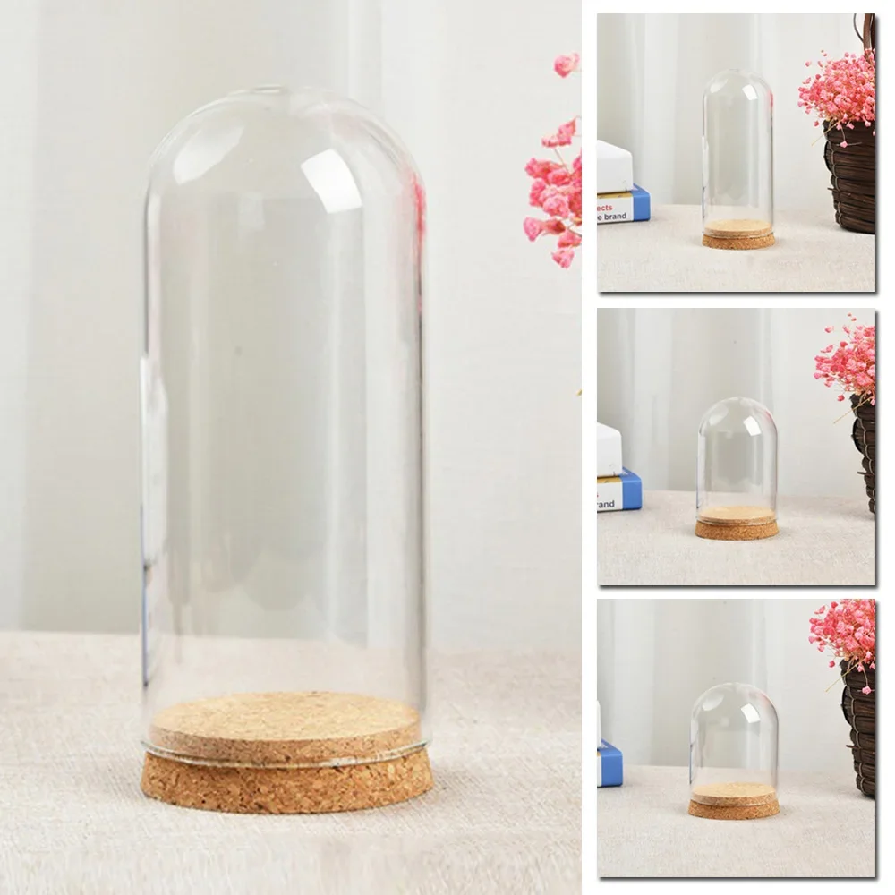 10/12/18cm Clear Glass Hemisphere Cover Glass Display Bell Jar With Wooden Base For Flower Succulent Plant Vase Wood Table Decor 2