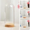 10/12/18cm Clear Glass Hemisphere Cover Glass Display Bell Jar With Wooden Base For Flower Succulent Plant Vase Wood Table Decor 2