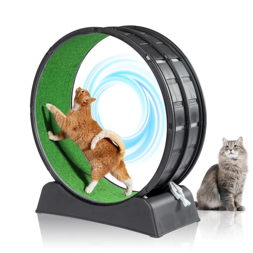 Cat Exercise Wheel Treadmill for Indoor Cats