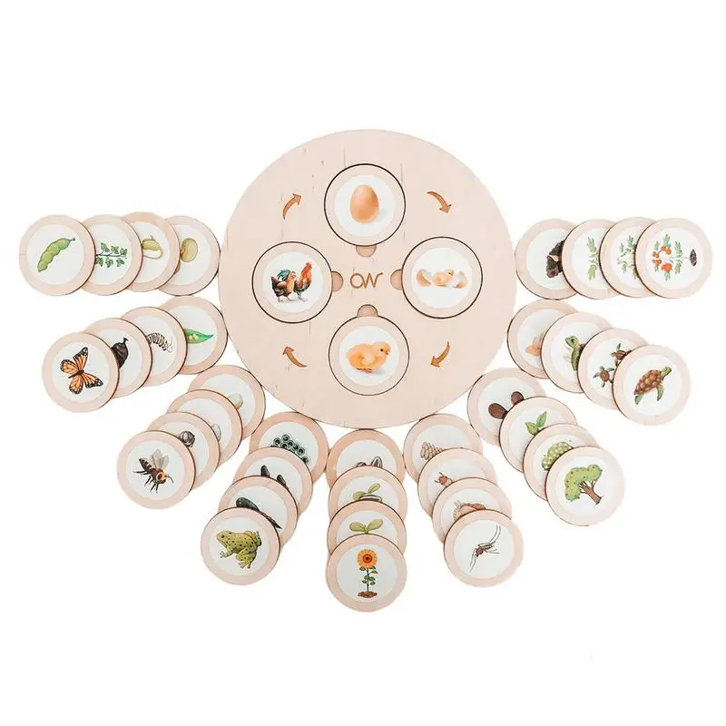 

Головоломка Монтессори с жизненным циклом, доска Монтессори с циклом роста жизни, деревянные головоломки, фигурки животных, подходящая игра, развивающая