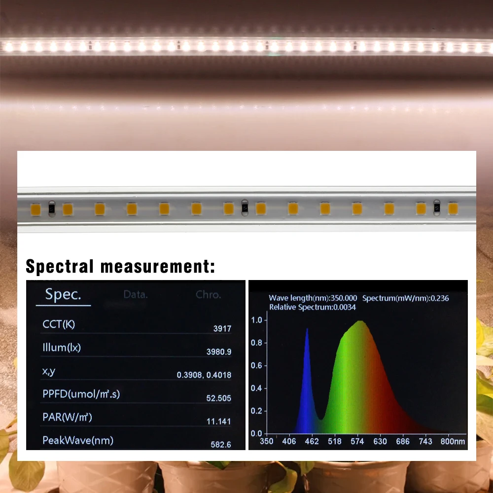 Lampada fito impermeabile a spettro completo a striscia luminosa a LED AC220V 120LEDs/M striscia flessibile a LED per piante fiori idroponica