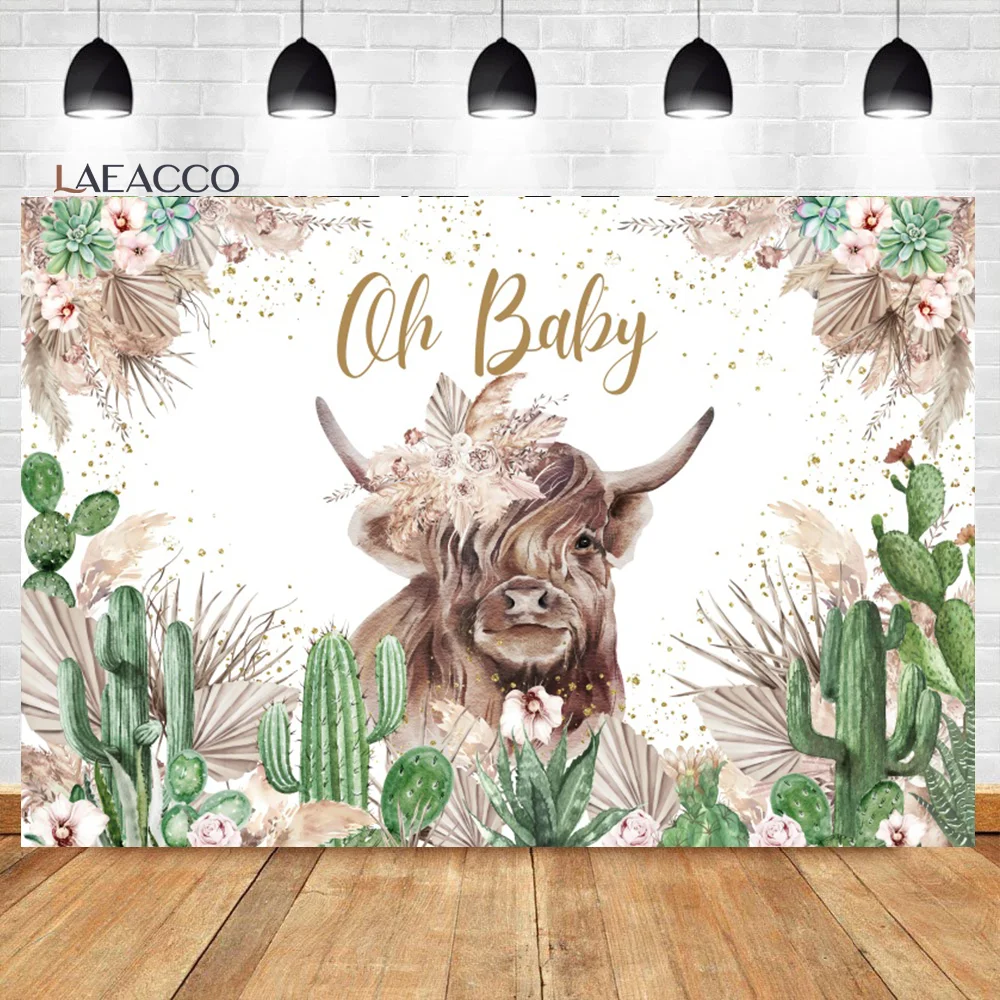 Laeacco ̷  ̺   äȭ   ҳ ҳ    ʻȭ  