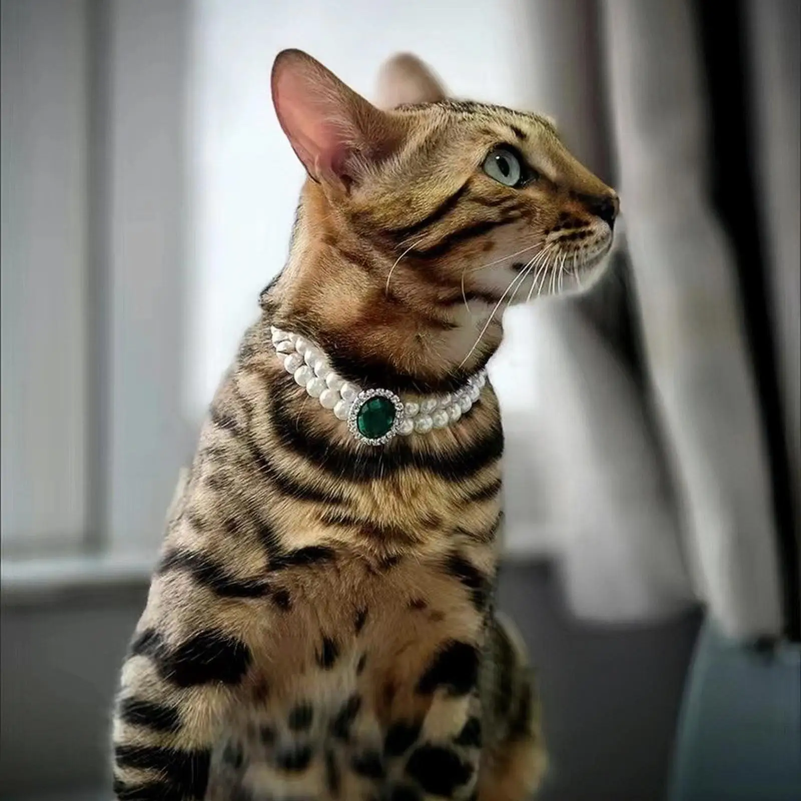 에메랄드 보석 진주 고양이 목걸이, 럭셔리 고양이 목걸이, 고양이 목걸이, 고양이 강아지, 여성 용품