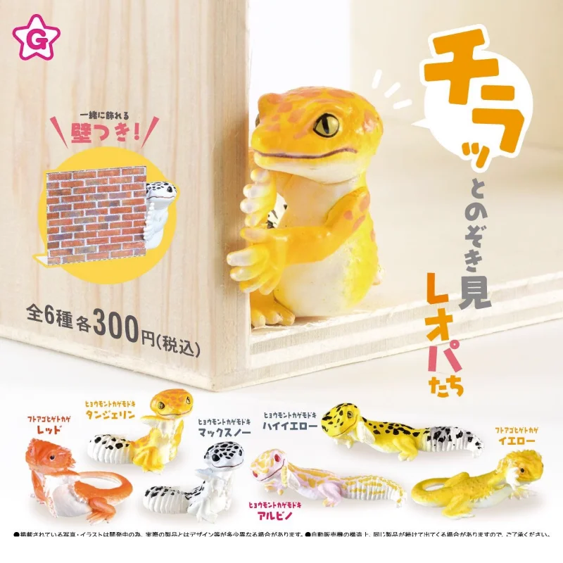 

Gashapon Gacha Cute Reptile Inpeeping Glass Capsule Toy Eublepharis Macularius Lizard Figure Model Toy Collection Ornaments