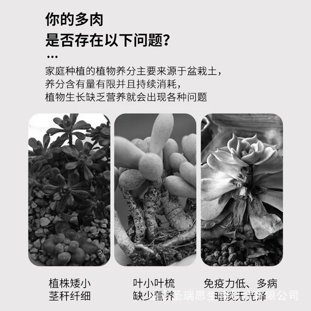 Húsban Gazdag Speciális Műtrágya, Háztartási Cserepes Virág Nitrogén Foszfor -Kálium -Összetett Műtrágya - Image 4