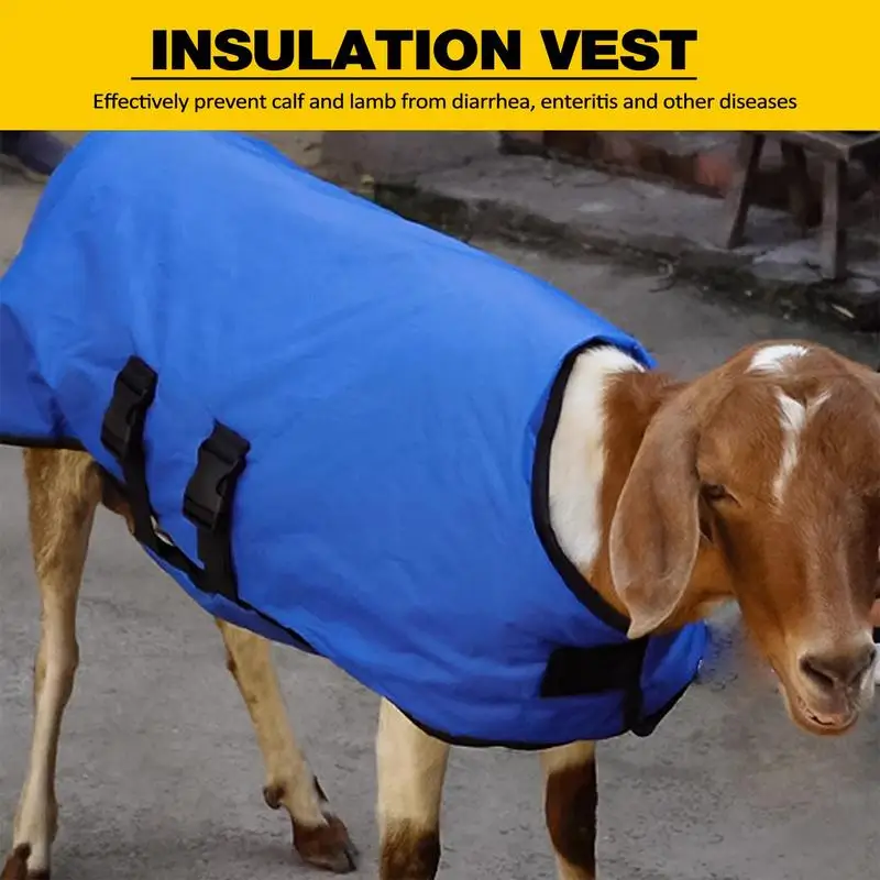 Giacca Isolante Per Bovini Inverno Copertina Per Vitelli,Protezione Ventrale Impermeabile Per Copertina Per Vitelli Termica - 10