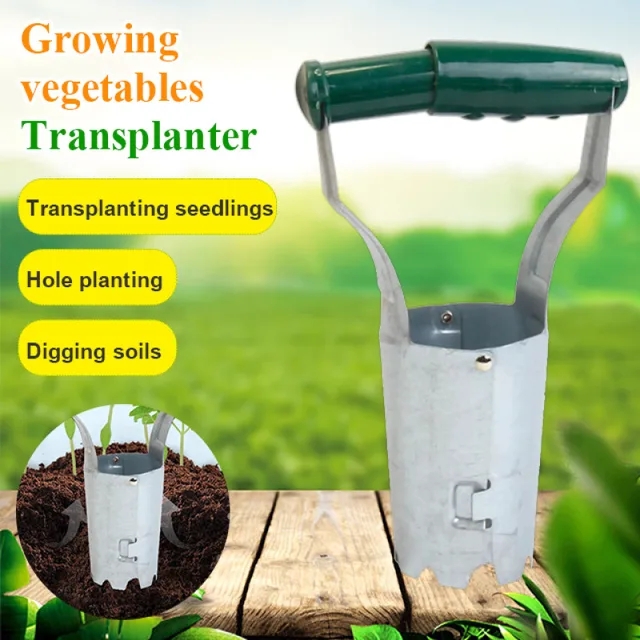 A Beépített Palánta Indító Növekszik Növény Optimális Növekedése Érdekében