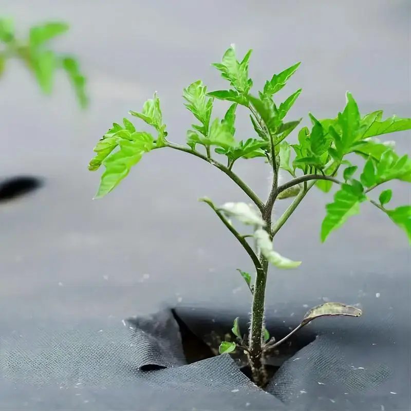 

Нетканый Ландшафтный барьер, Многослойный материал для садоводства, лужайки, легкая установка