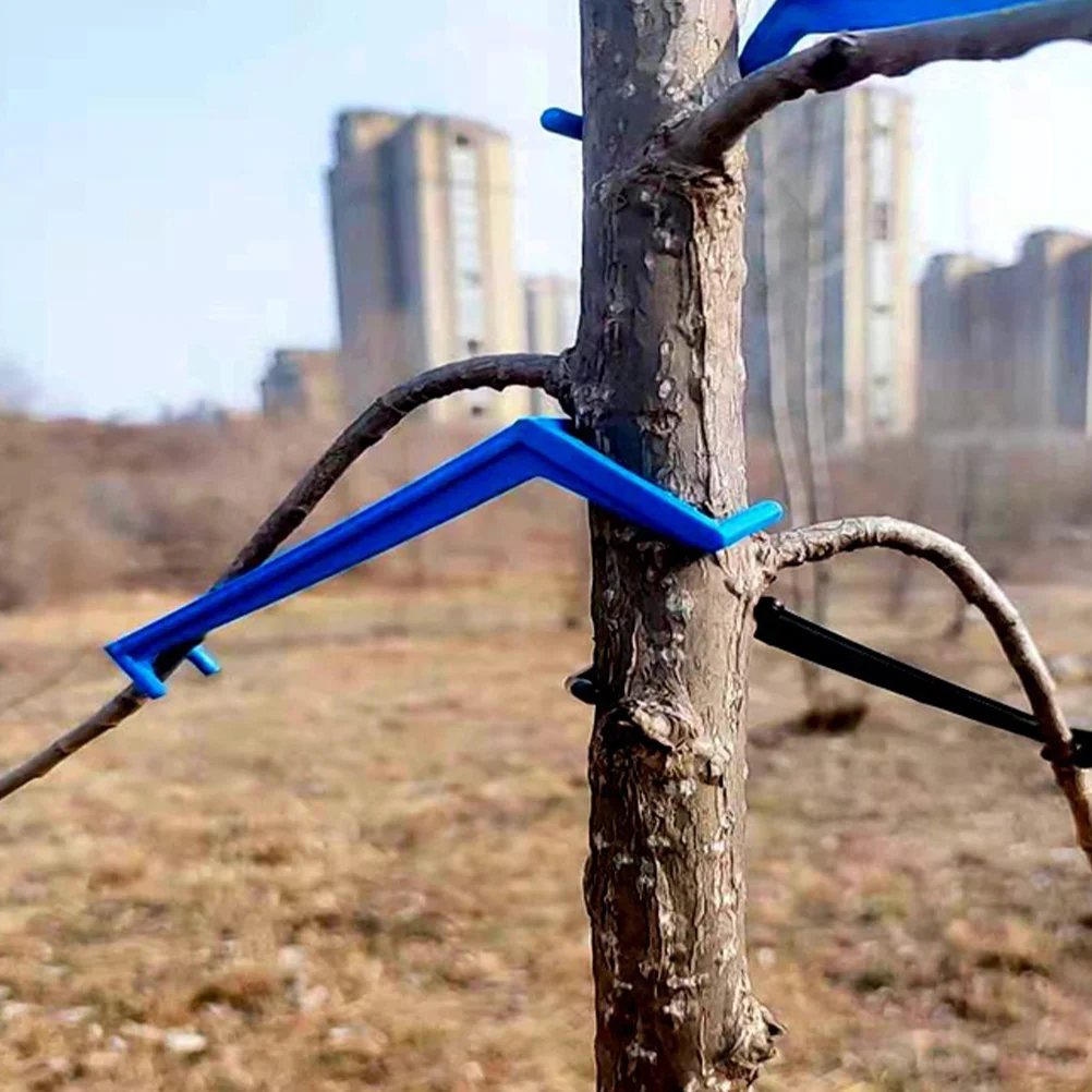 Divaricatori Rami 20 Pezzi - Per Alberi Da Frutto | Distanziatori Per Modellatura - Foto 12