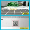 New Japanese Language Proficiency Test Pre-Test Strategies N1-N5 Vocabulary Reading Kanji Listening Grammar Japanese Test Book 2