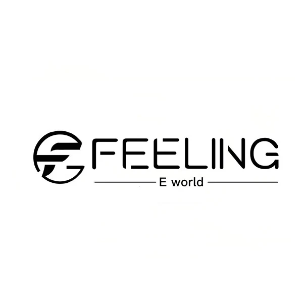 Feeling Global Electronic Store