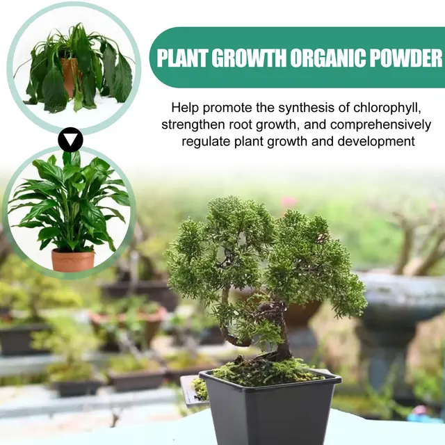 120 G Növényi Gyors Gyökérpor Elősegíti A Növekedés Szerves Rügyének Differenciálódását Klorofil -Szintézis Virágokhoz - Image 2