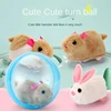 New Electric Rabbit Hamster Rolling Ball Baby Educational Toys Popular Playing Cat Electronic Plush Dog Cat Machine Pet Toys 4