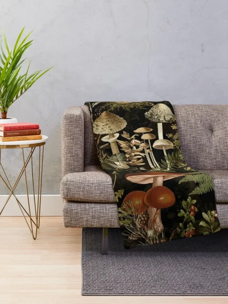 ��Ƽ�� ���� �� �Ĺ� ����, ���� ���ο� ���, ����, �Ϳ��� ���� ����, ǫ���ϰ� ǫ���� ��, �ε巯�� ���� ���� ���