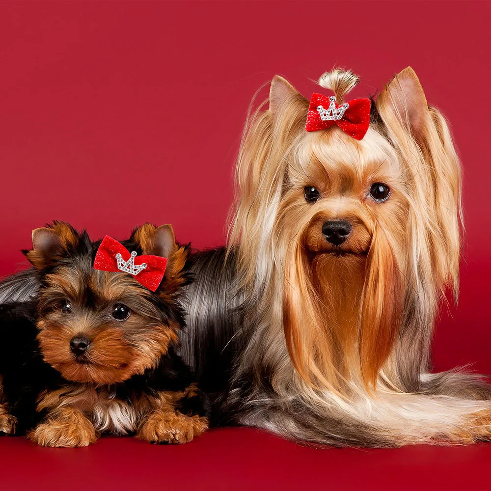 ワンちゃんとライオン ベビーヘアクリップ ヘアピン ヘアゴム 犬 イヌ ライオン ワンちゃんとライオン ベビーヘアクリップ ヘアピン ヘアゴム 犬 イヌ