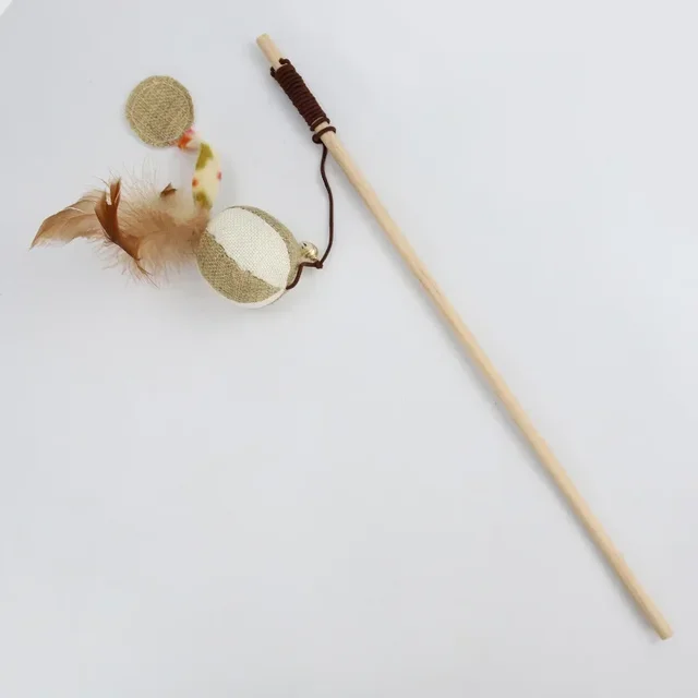 Image 11
