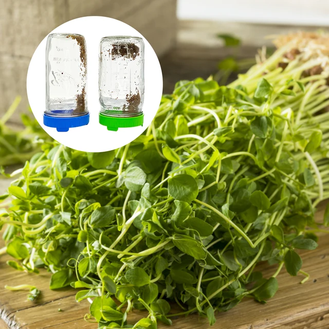 Csírázó Fedelek, Műanyag Hajtás Fedele Rozsdamentes Acél Képernyővel A Széles Szájú Kőműves Üvegekhez, Készlet Csírázás - Image 6