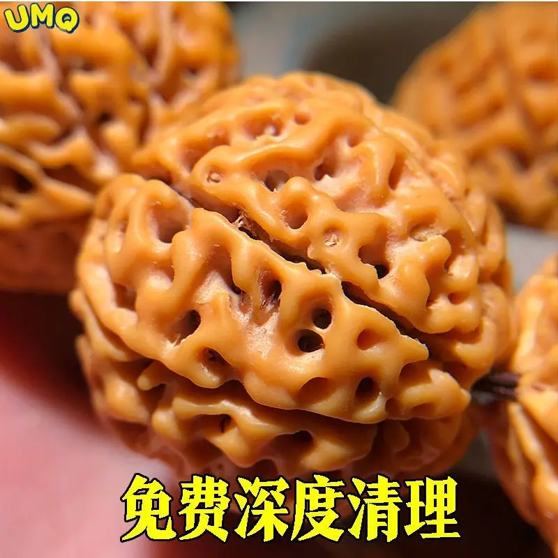 

(deep Cleaning) Vajra Bodhi Rudraksha Beadshand String for Men and Women Great Beadsbuddha Beads Bracelet 7 8 Pieces of Raw Seed