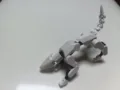 Gray dog