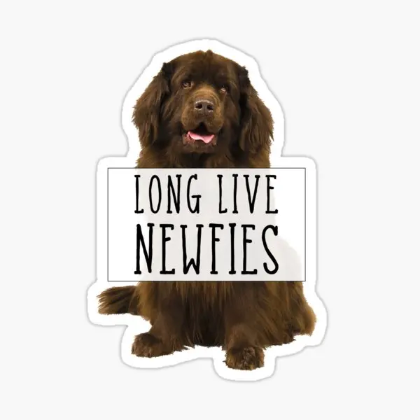 

5 шт., автомобильные наклейки с надписью «Long Live»